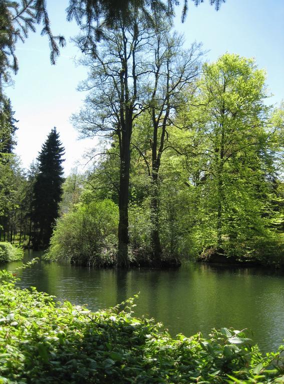Augustenhof Bad Elster Dış mekan fotoğraf